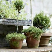 Barbara Naima's photo
