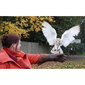 Janet Bedwell's photo