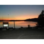 Diane Collins's photo