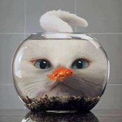 Anthony Mak's photo