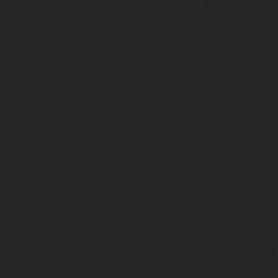 Classic Cotton : Black - Fabric