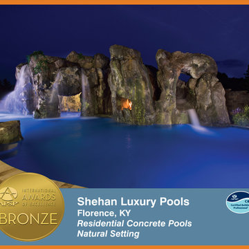 2014 APSP International Awards of Excellence