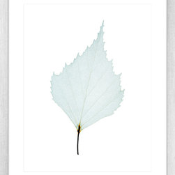 Fragile Leaves Collection - Framed Art Prints (FRAG07) - Artwork
