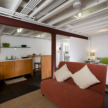Basement Ceiling & Lighting