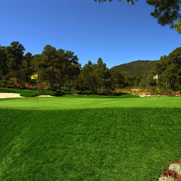Private Synthetic Par 3 Golf Course