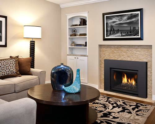 Best Gas Fireplace Insert Design Ideas & Remodel Pictures | Houzz - Gas Fireplace Insert Photos