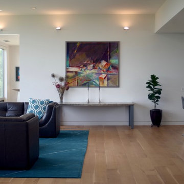 International Modern Home