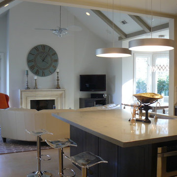 Kitchen/Family Room