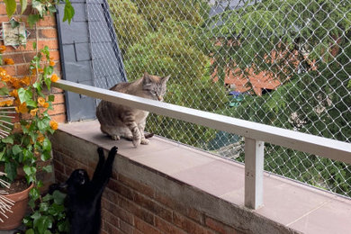 Balcon gatos