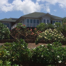 Hahalua