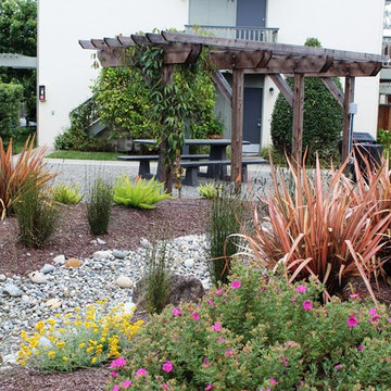 Community Gathering Multi-Family Garden