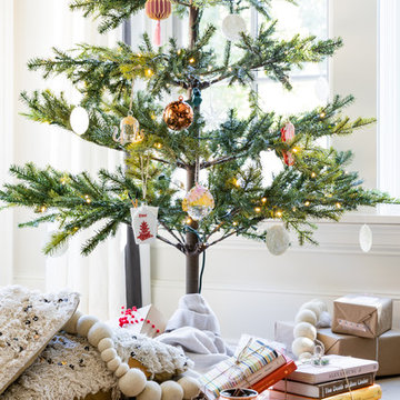 Havenly collaboration with Pottery Barn and West Elm