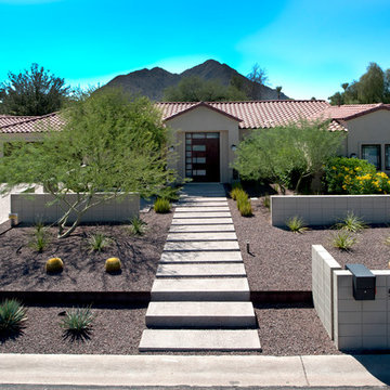 Desert Contemporary