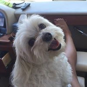 Stacy Wallnerさんの写真
