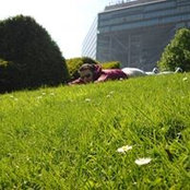 Christian Stanescu's photo