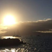 Timothy Mitchell's photo