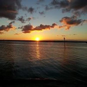 Lynne Chapman Finger's photo