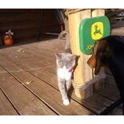 Anna Parker's photo