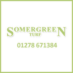 Somergreen Turf  and  Somergreen Maintenance