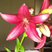 Shelly Knutson Hawkins's photo