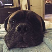 Katie McDougall's photo
