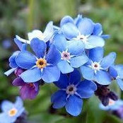 Annamaria Busnardo's photo