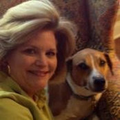 Laura Hamburger's photo