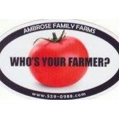 Babs Ambrose's photo