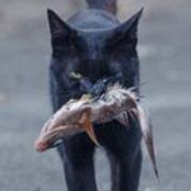 Marcos Zanatti's photo