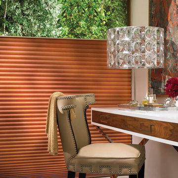 Hunter Douglas Window Treatments