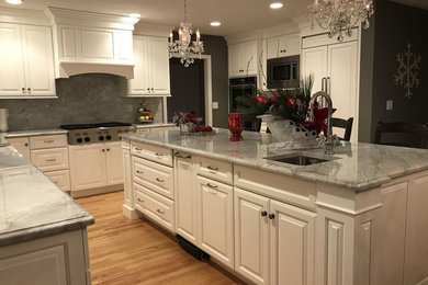Kitchen - transitional kitchen idea in Boston