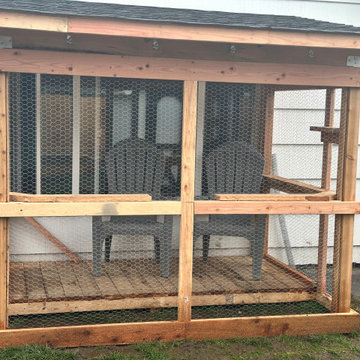 Catio