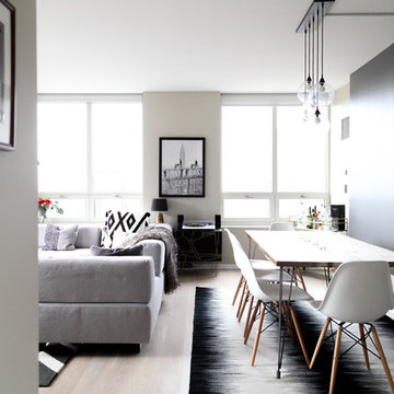 My Houzz: Modern Minimalistic & Globally Inspired Chicago High Rise