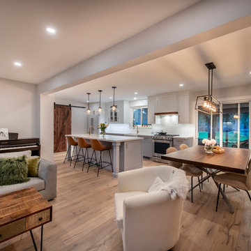 Mississauga Kitchen and Main floor Reno