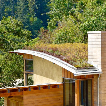 Living Roof