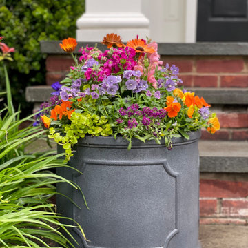 Summer Containers