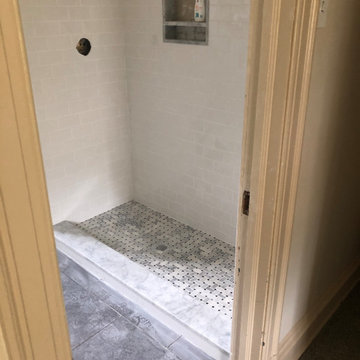 Chestnut Hill Bathroom renovation