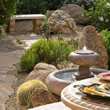 Colorful Desert - Phoenix Home&Garden