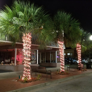 City of Palatka Holiday Lights 2017