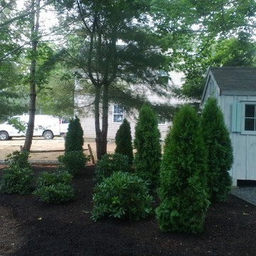 Our Work