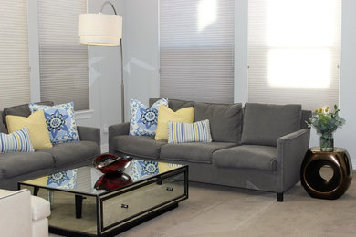 Example of a minimalist living room design in Denver
