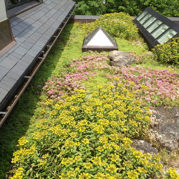 Green Roofs