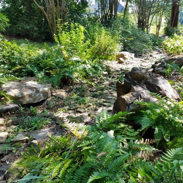 Streetscape Rock Drainage