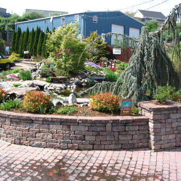 TJB-INC Display Gardens & Ponds - 12 Crestway Hamden