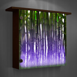 Lighted wall decor- color changing lights - Home Decor