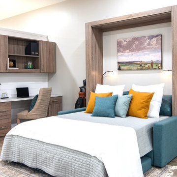 SOFA AND MURPHY BED