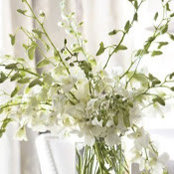 Toni Burton's photo