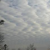 Erin Thomson's photo