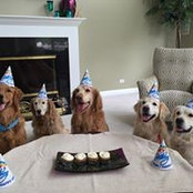 Susan Simms's photo