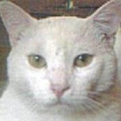 Carole Cronan's photo